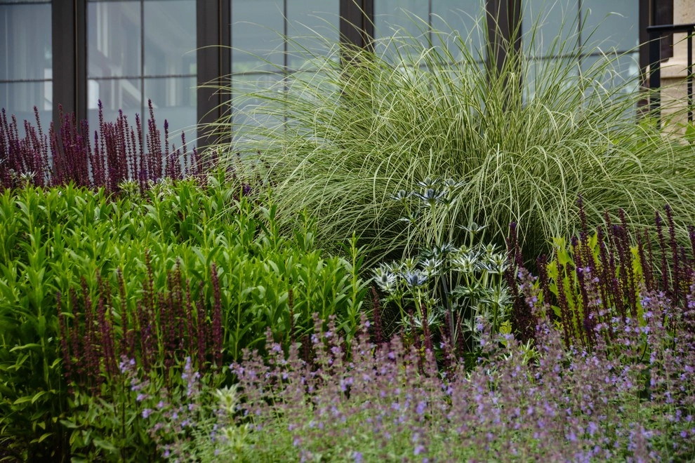 New Albany Farms by McCullough's Landscape & Nursery - Photo 2