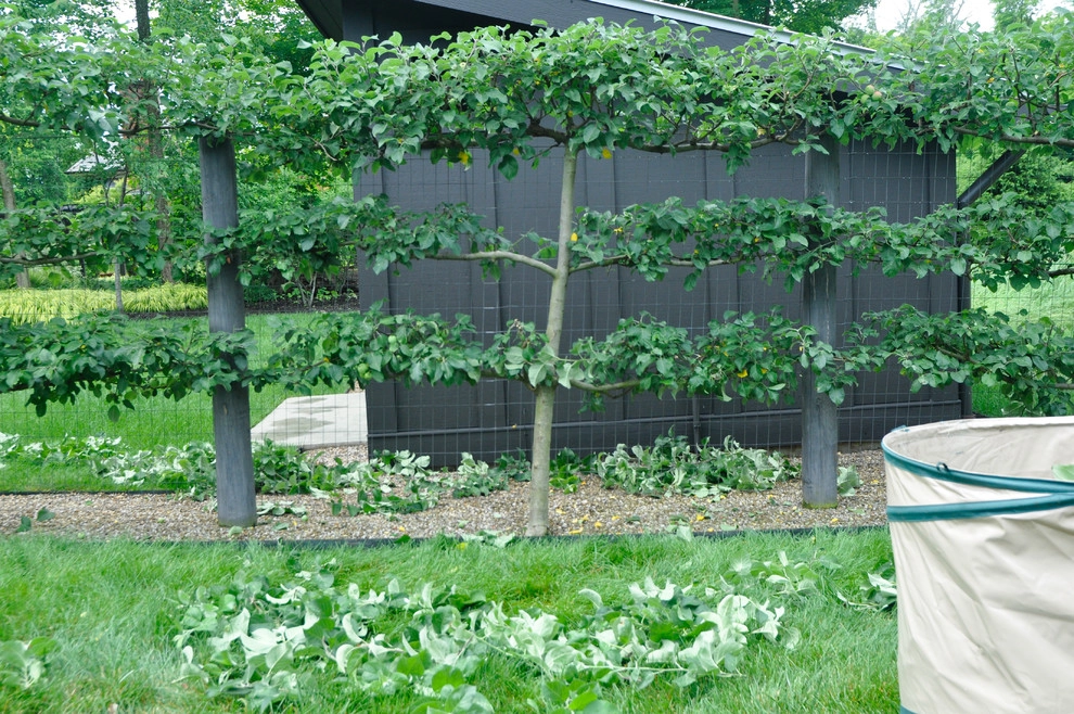 Maintenance by McCullough's Landscape & Nursery - Photo 27