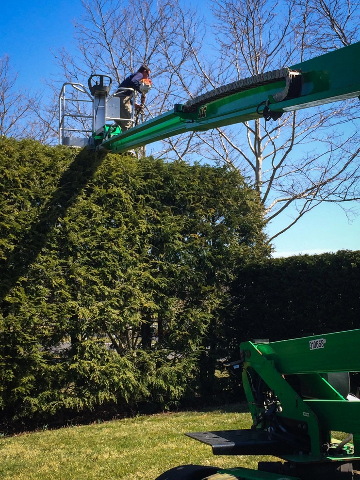 Maintenance by McCullough's Landscape & Nursery - Photo 10