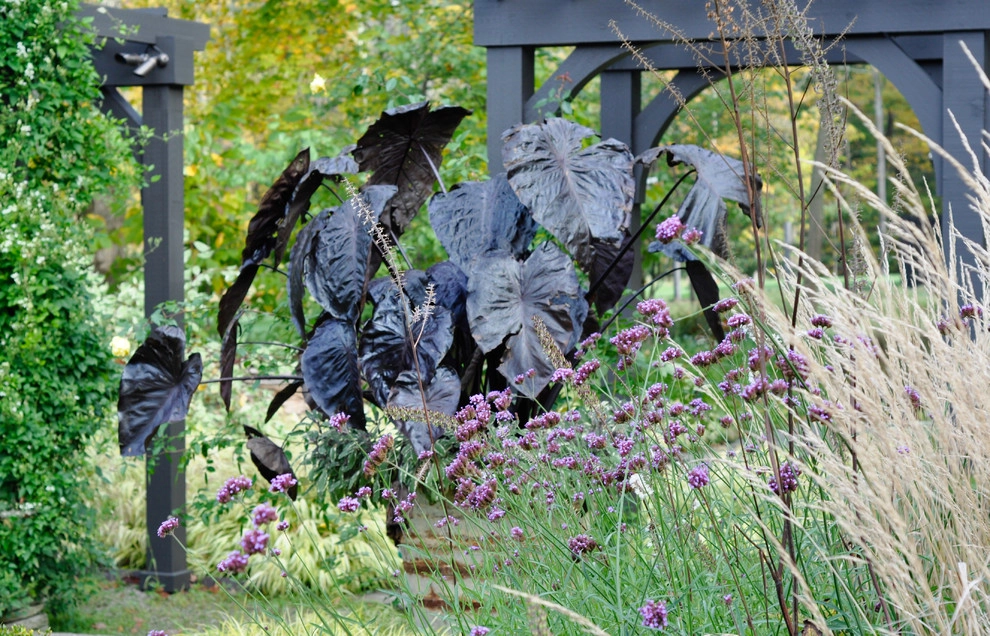 McCullough's Landscape & Nursery - Photo 3