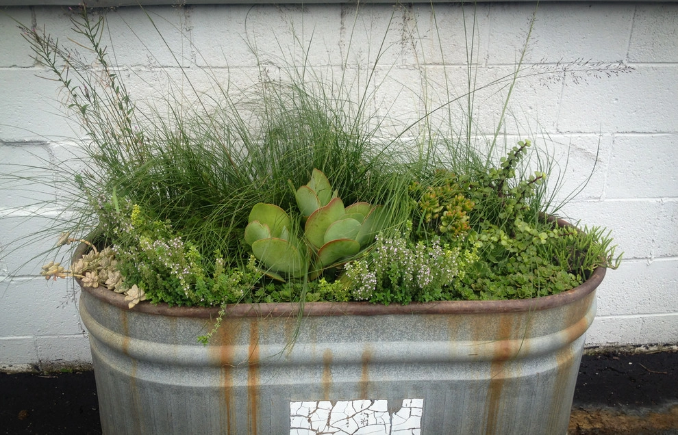 CONTAINERS by McCullough's Landscape & Nursery - Photo 42