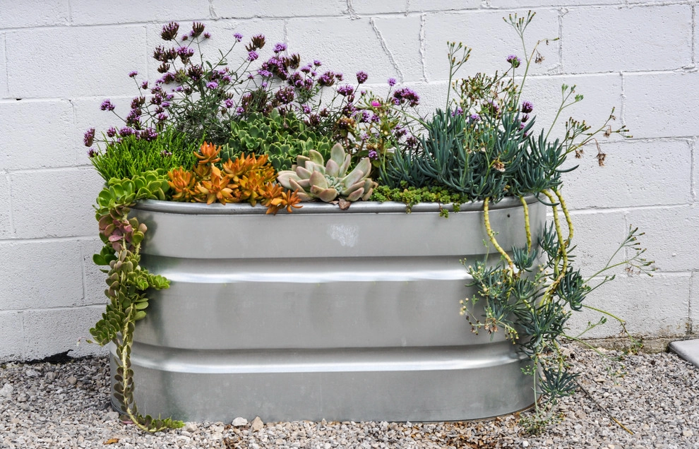CONTAINERS by McCullough's Landscape & Nursery - Photo 76
