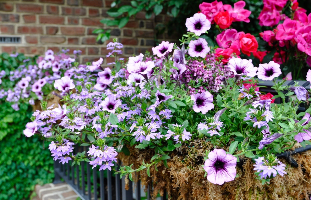CONTAINERS by McCullough's Landscape & Nursery - Photo 46