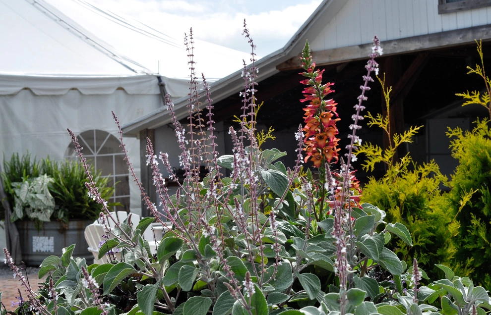 CONTAINERS by McCullough's Landscape & Nursery - Photo 48