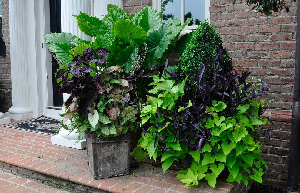 CONTAINERS by McCullough's Landscape & Nursery - Photo 98