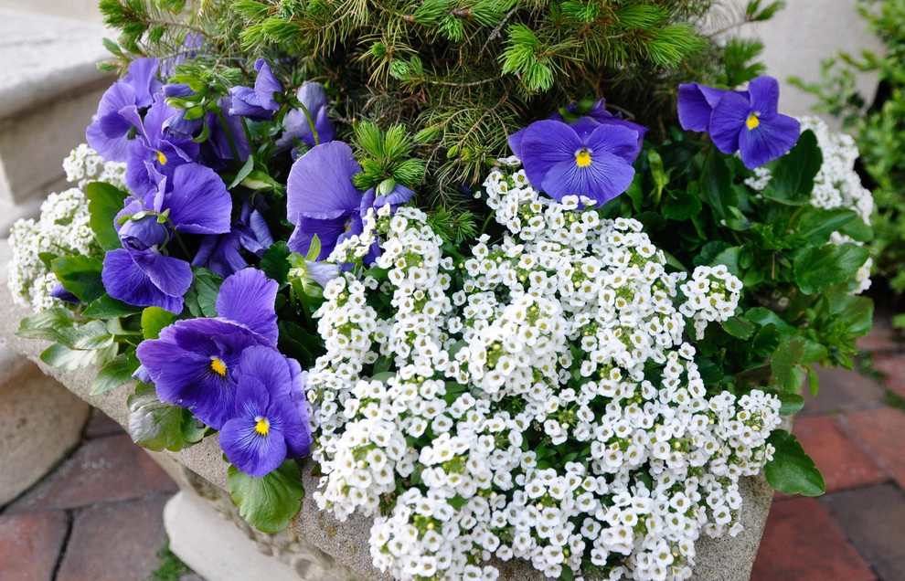 CONTAINERS by McCullough's Landscape & Nursery - Photo 14