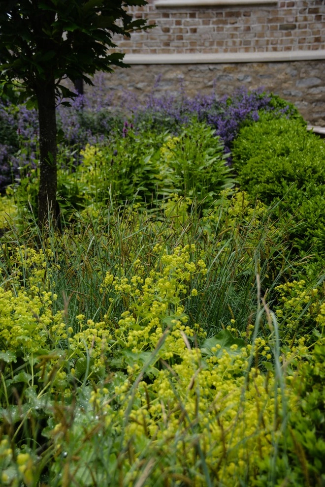 New Albany Farms by McCullough's Landscape & Nursery - Photo 6