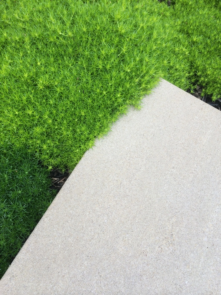 Grotto Garden by McCullough's Landscape & Nursery - Photo 32