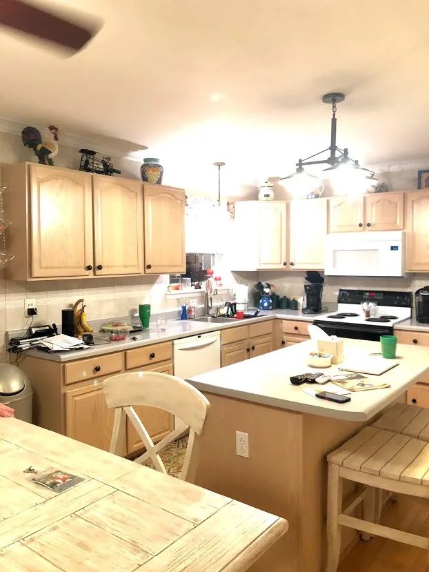 Boehm Before / After by Designs By Mary-Ann Pugh - Photo 13