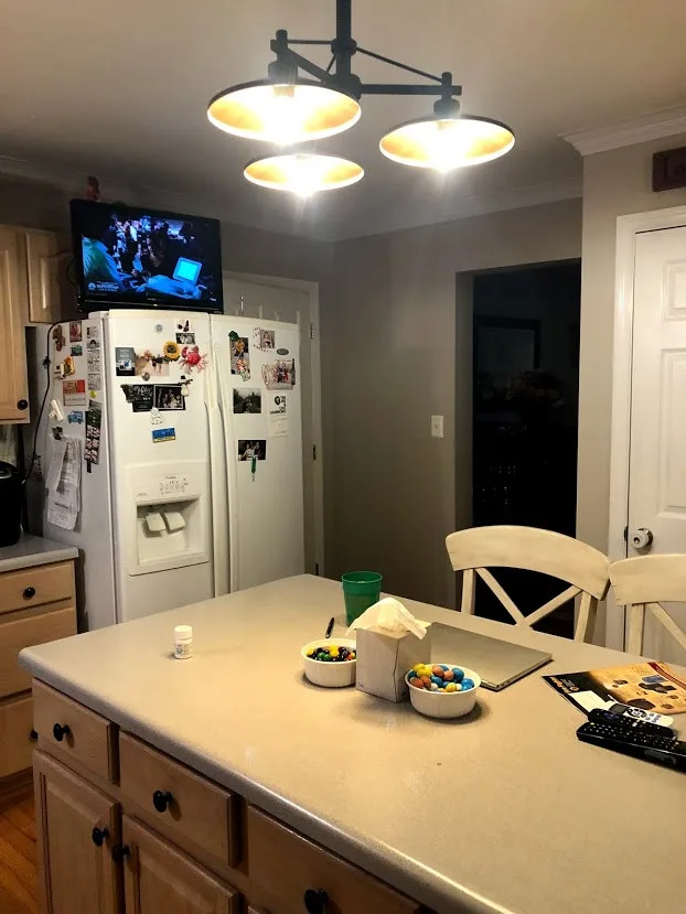 Boehm Before / After by Designs By Mary-Ann Pugh - Photo 21