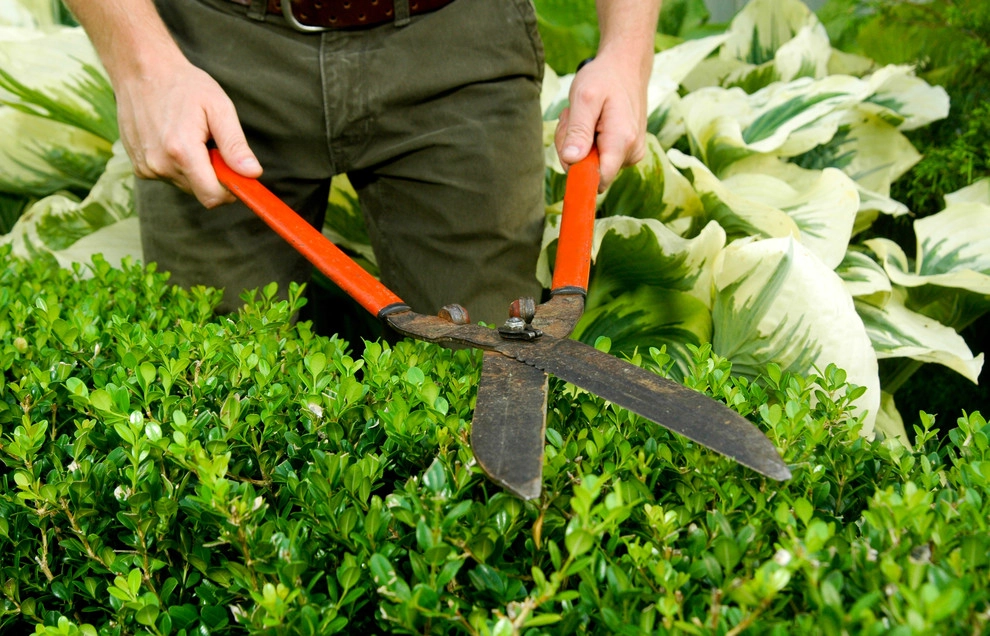 Maintenance by McCullough's Landscape & Nursery - Photo 17