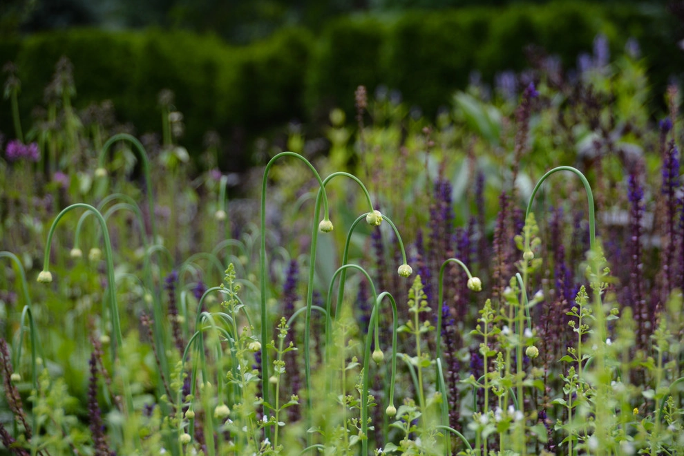 Parterre Garden by McCullough's Landscape & Nursery - Photo 10