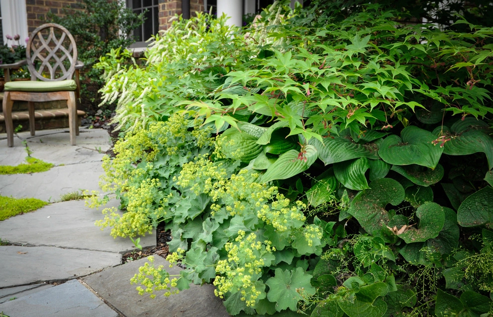 Country House by McCullough's Landscape & Nursery - Photo 18