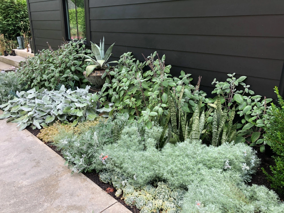 MIDWEST MODERN by McCullough's Landscape & Nursery - Photo 4