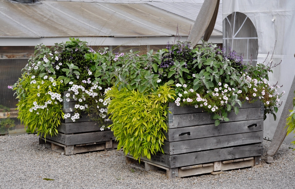 CONTAINERS by McCullough's Landscape & Nursery - Photo 68