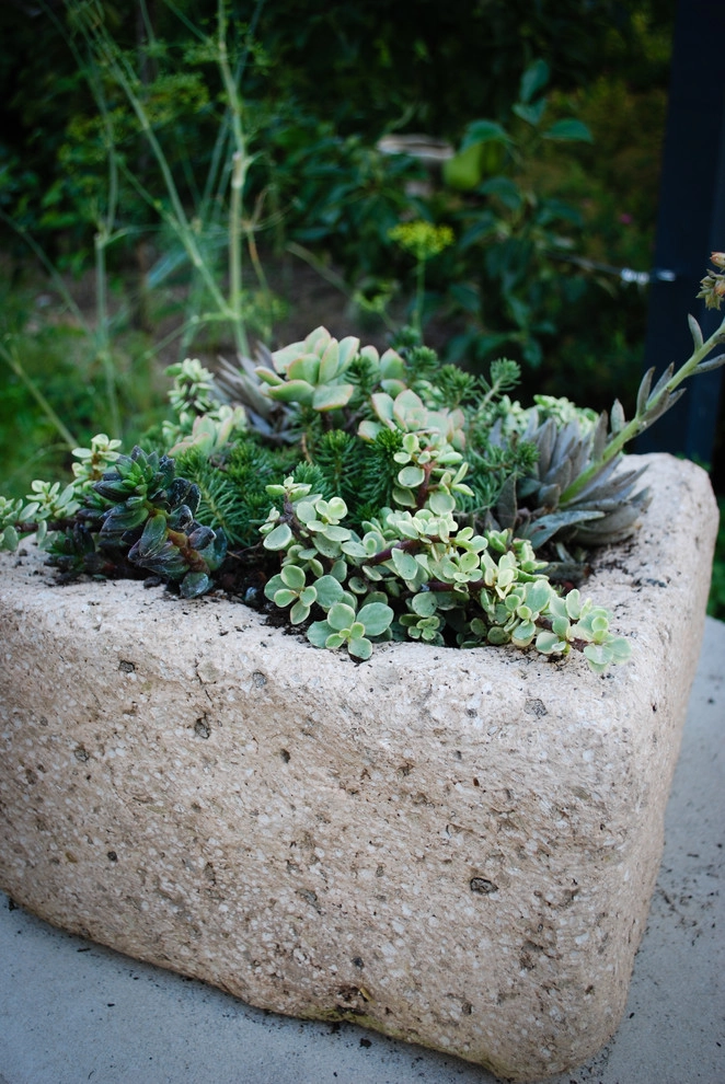 CONTAINERS by McCullough's Landscape & Nursery - Photo 86