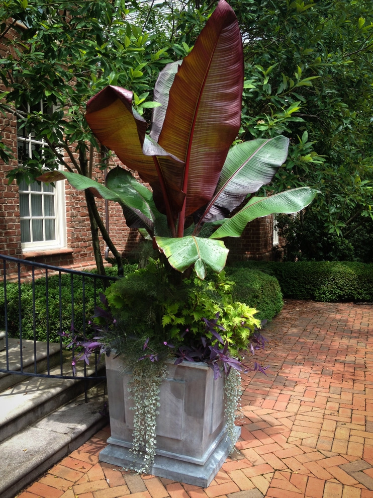 CONTAINERS by McCullough's Landscape & Nursery - Photo 93