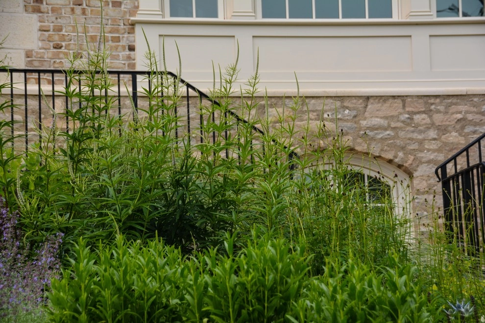 New Albany Farms by McCullough's Landscape & Nursery - Photo 9
