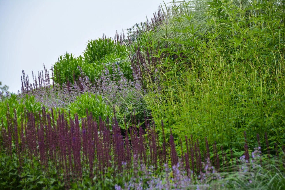 New Albany Farms by McCullough's Landscape & Nursery - Photo 44