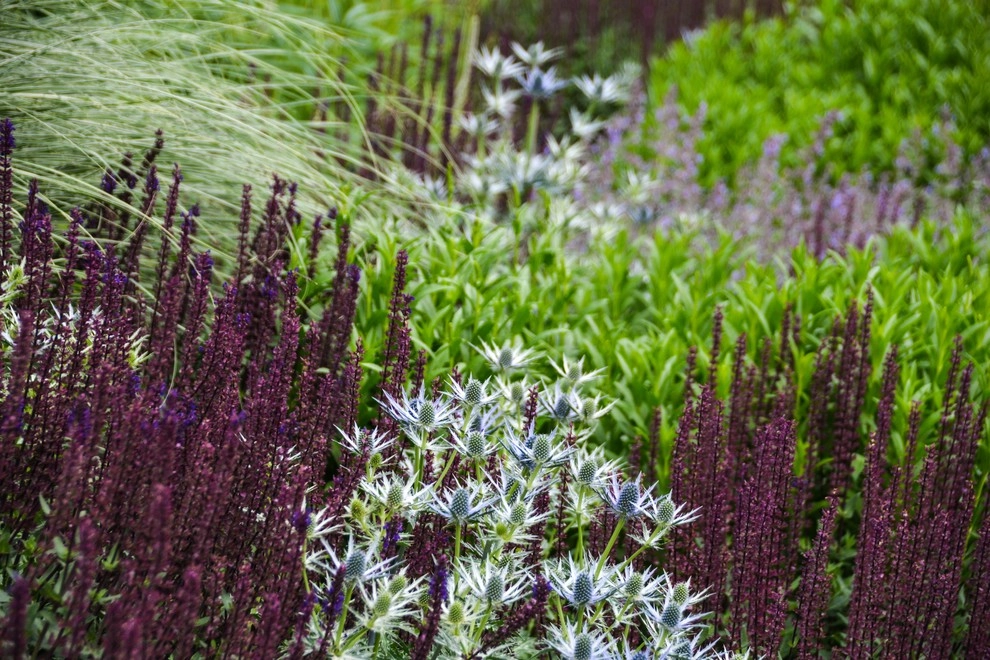 New Albany Farms by McCullough's Landscape & Nursery - Photo 22