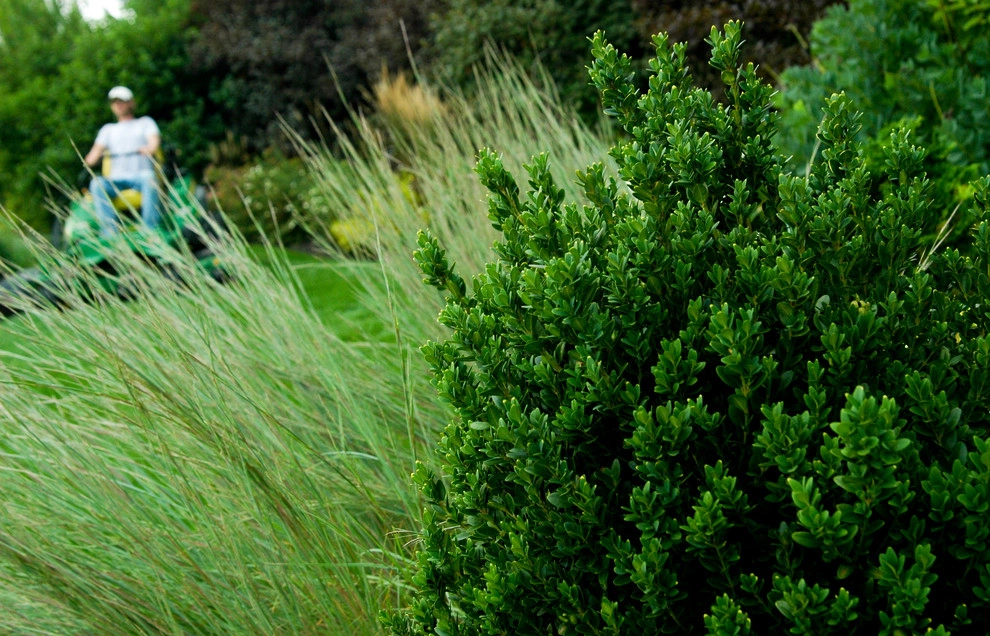 Maintenance by McCullough's Landscape & Nursery - Photo 5