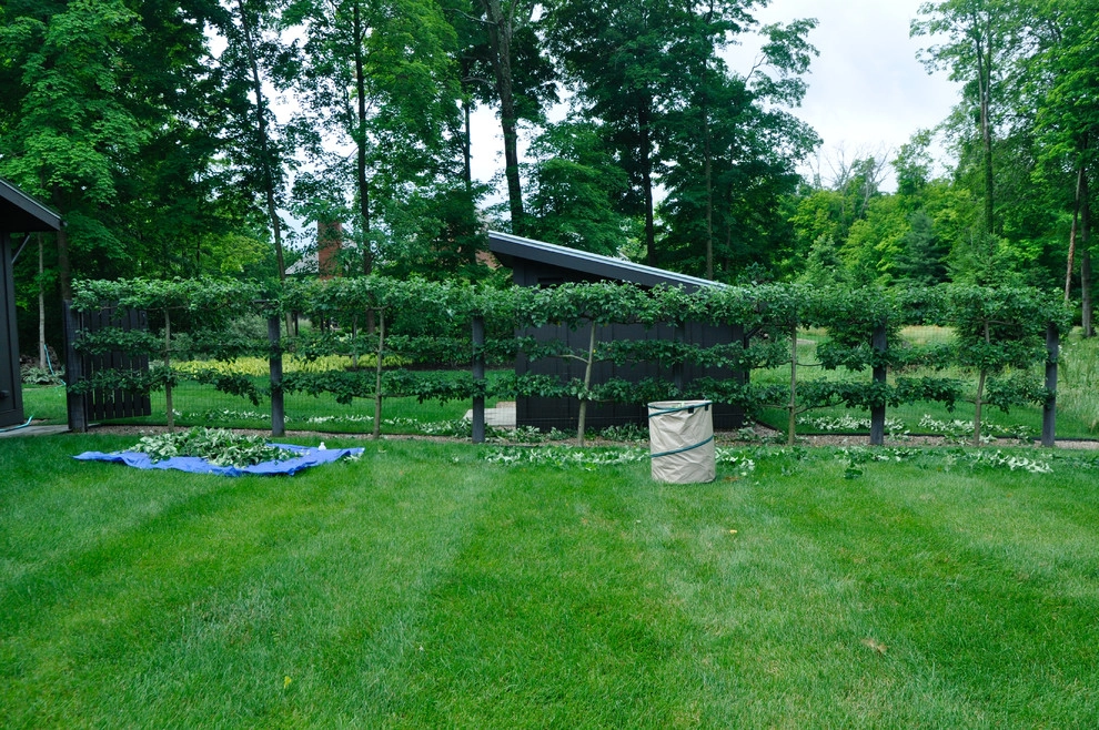 Maintenance by McCullough's Landscape & Nursery - Photo 22