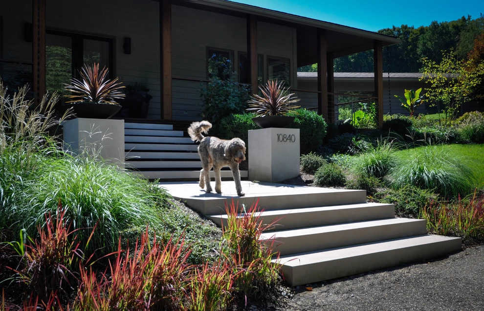 Modern Entryway by McCullough's Landscape & Nursery - Photo 6