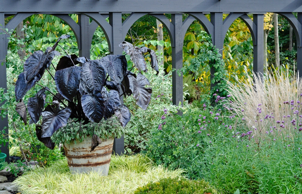 Barn House by McCullough's Landscape & Nursery - Photo 68
