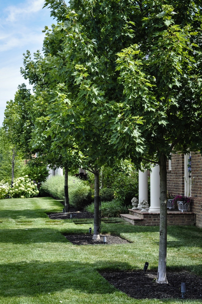 Country House by McCullough's Landscape & Nursery - Photo 13