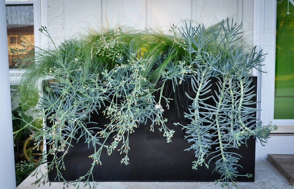 CONTAINERS by McCullough's Landscape & Nursery - Photo 2