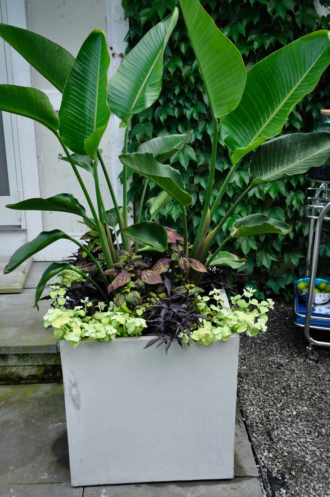 CONTAINERS by McCullough's Landscape & Nursery - Photo 20