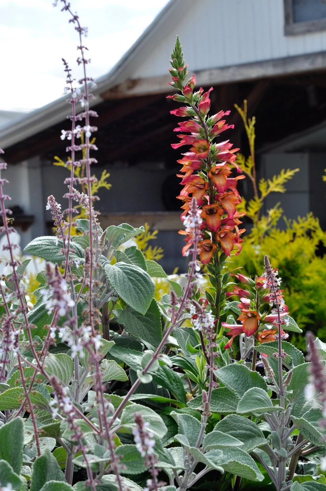 CONTAINERS by McCullough's Landscape & Nursery - Photo 36