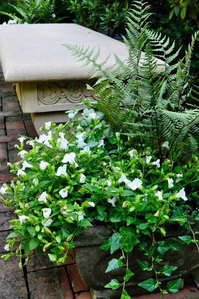 CONTAINERS by McCullough's Landscape & Nursery - Photo 8