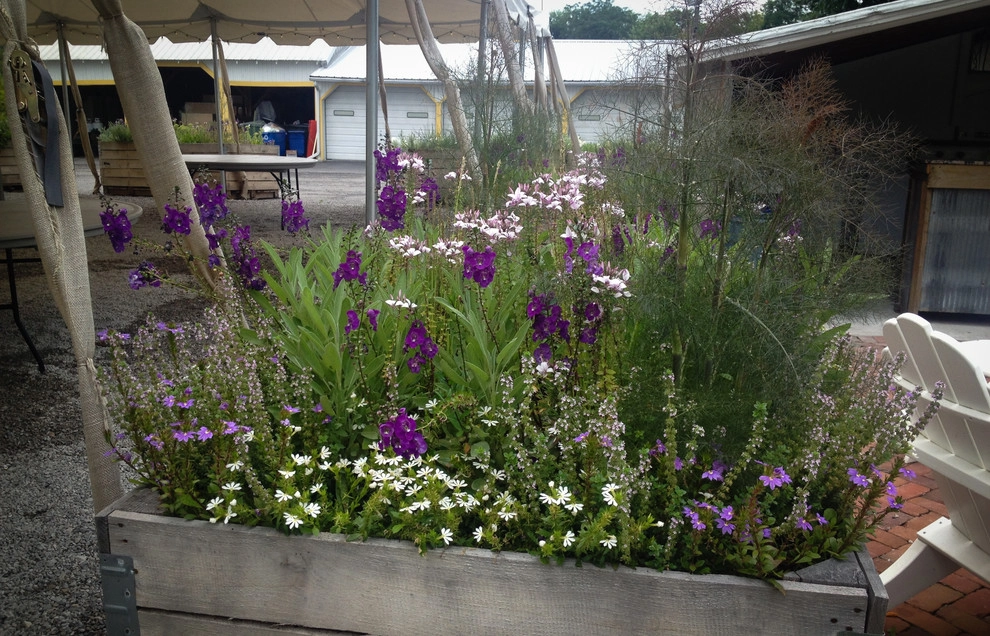 CONTAINERS by McCullough's Landscape & Nursery - Photo 84