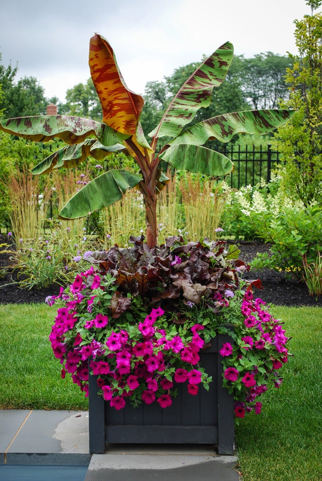 CONTAINERS by McCullough's Landscape & Nursery - Photo 33