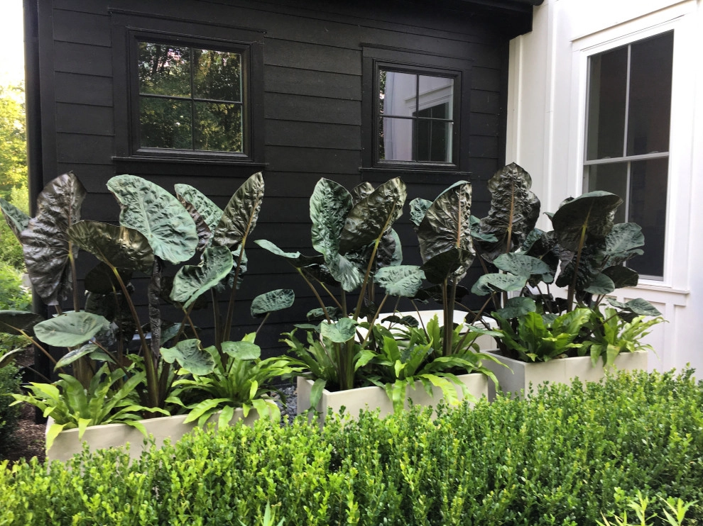 CONTAINERS by McCullough's Landscape & Nursery - Photo 45