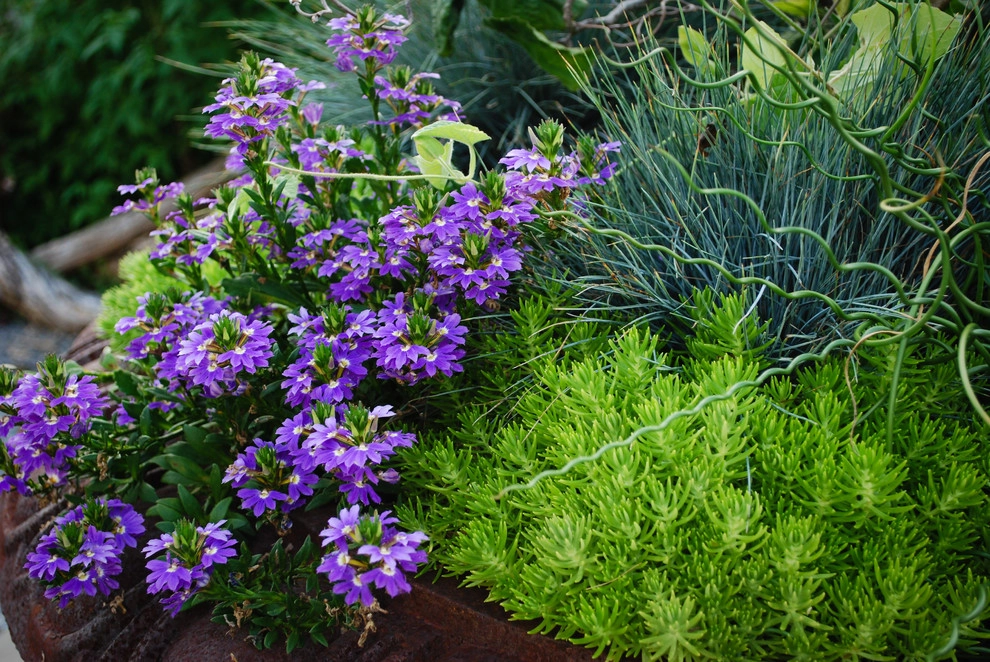 CONTAINERS by McCullough's Landscape & Nursery - Photo 47