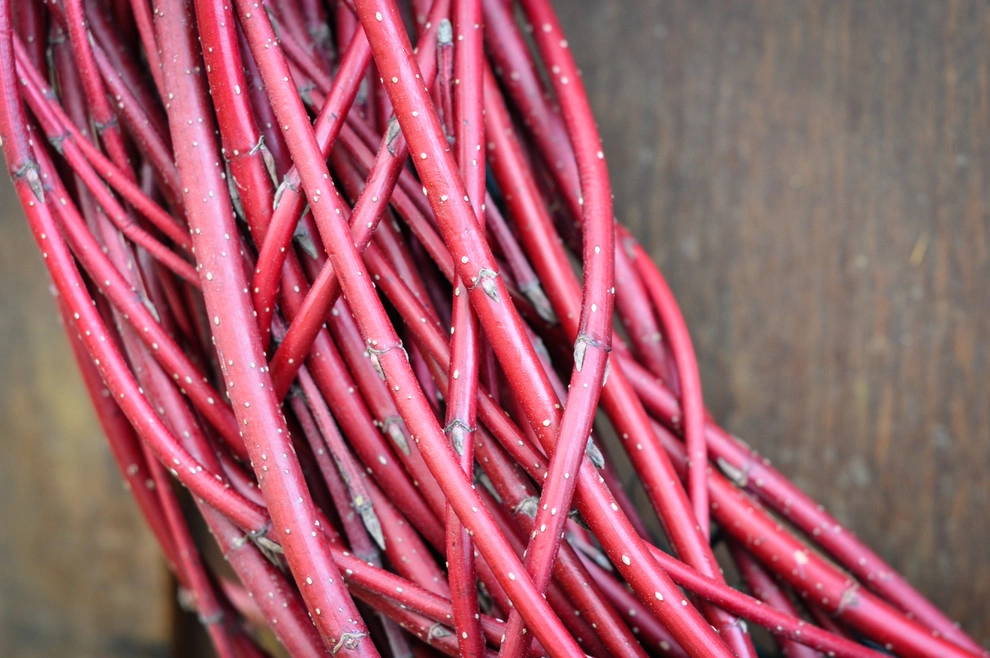 HOLIDAY DECORATING by McCullough's Landscape & Nursery - Photo 41