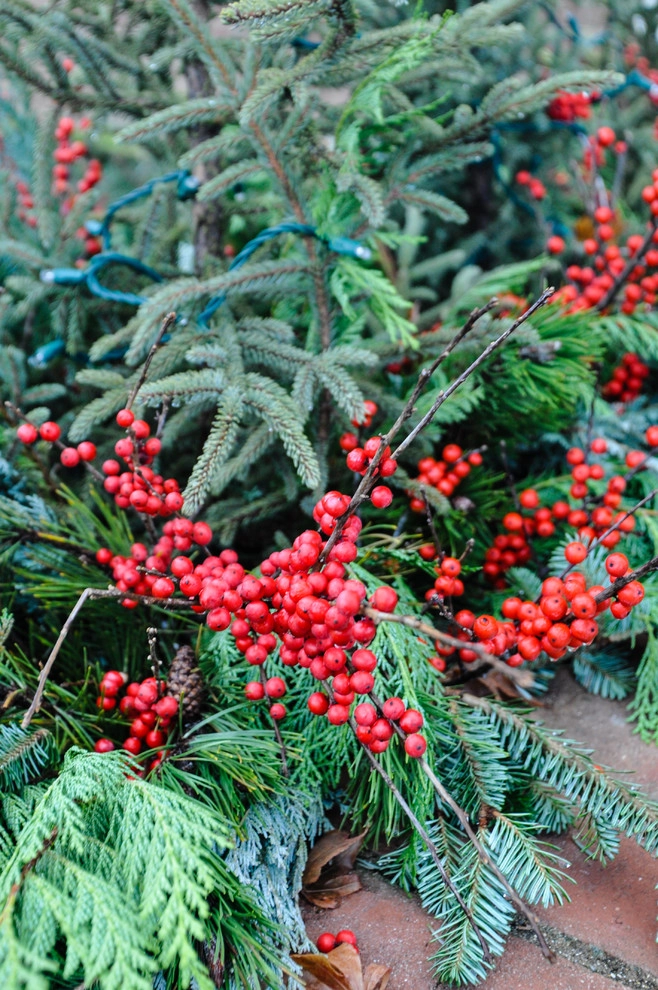 HOLIDAY DECORATING by McCullough's Landscape & Nursery - Photo 4