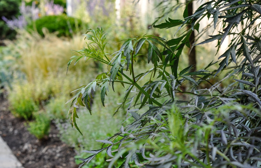 Red Twig Farms by McCullough's Landscape & Nursery - Photo 13