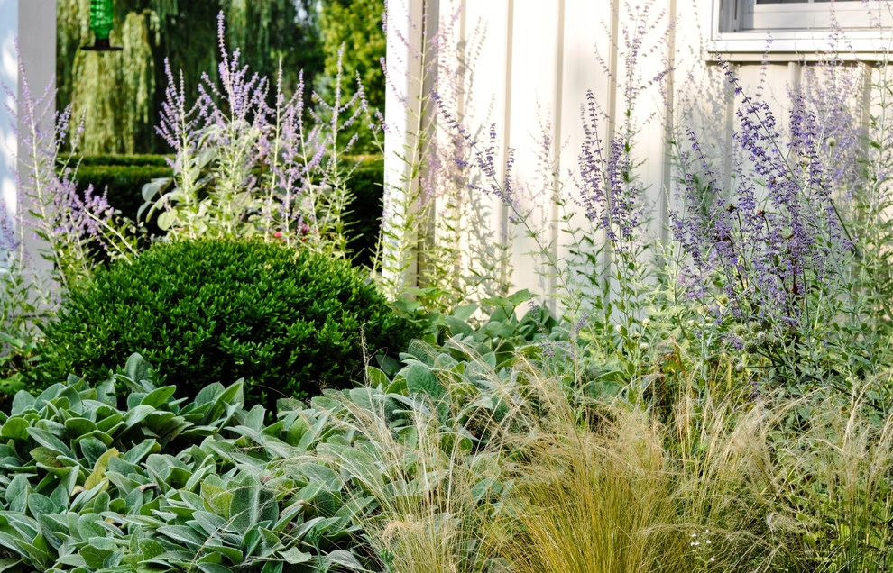 Red Twig Farms by McCullough's Landscape & Nursery - Photo 3