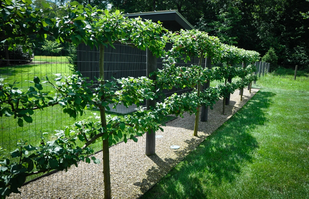 Maintenance by McCullough's Landscape & Nursery - Photo 2