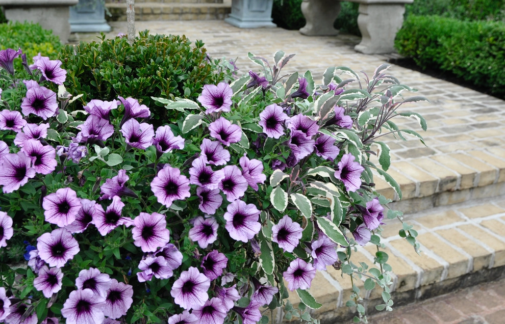 Parterre Garden by McCullough's Landscape & Nursery - Photo 3