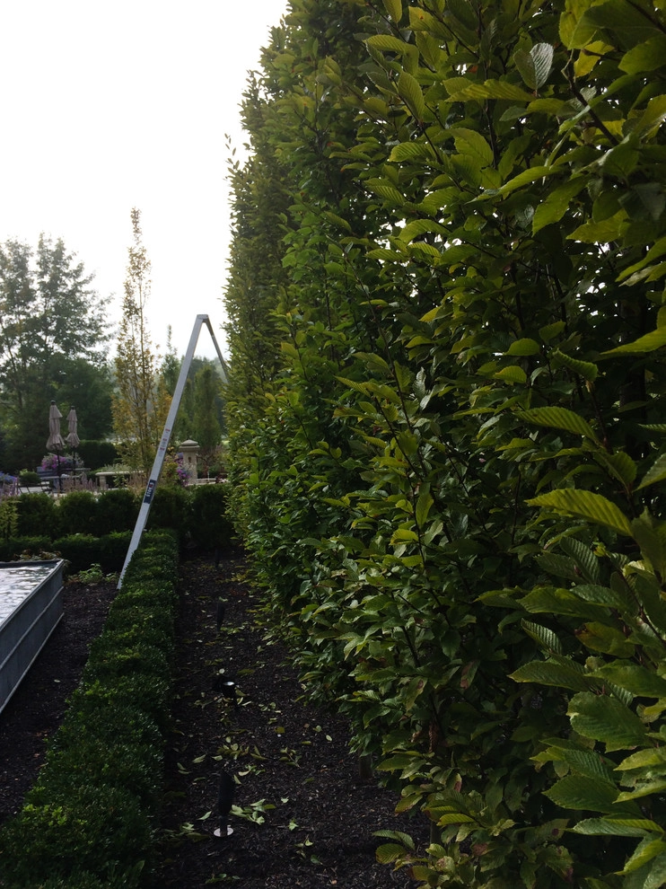 Parterre Garden by McCullough's Landscape & Nursery - Photo 16