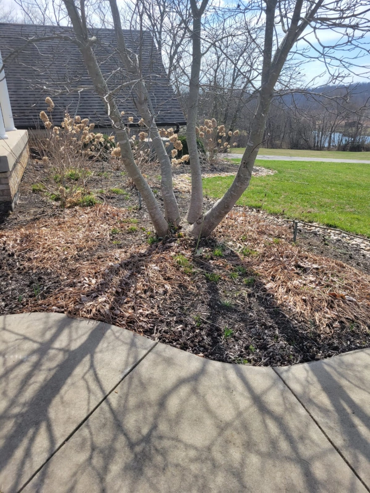 Alberto Alavez Professional Lawn Services LLC 12 by Alberto Alavez Professional Lawn Services LLC - Photo 26