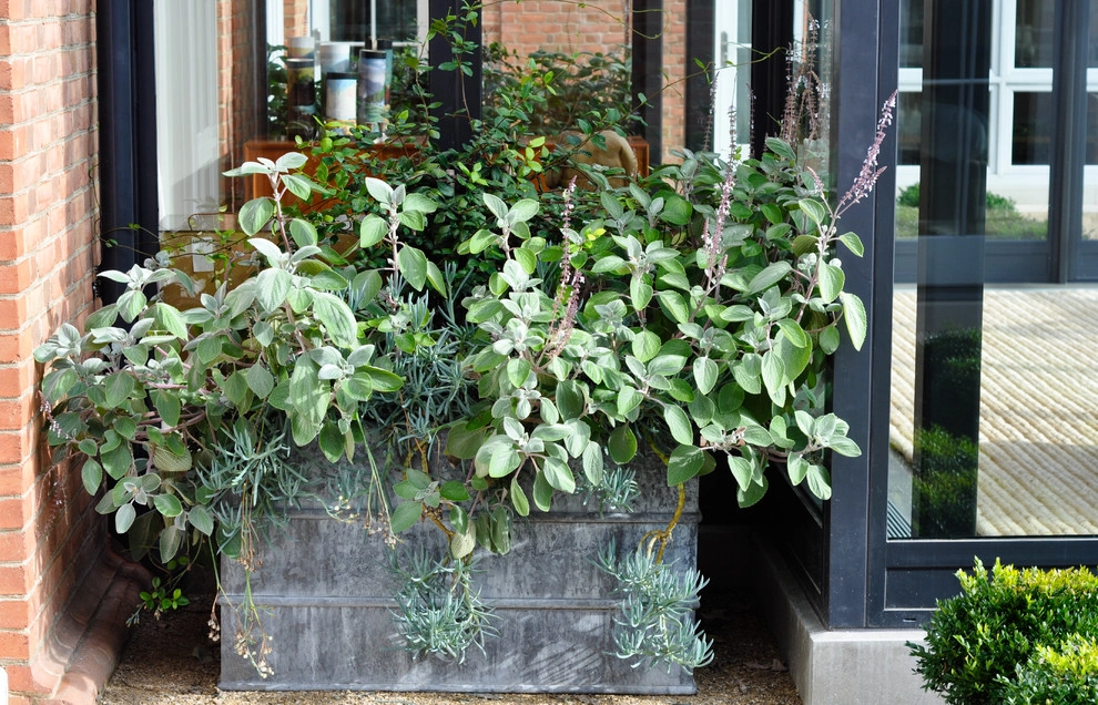 Barn House by McCullough's Landscape & Nursery - Photo 58