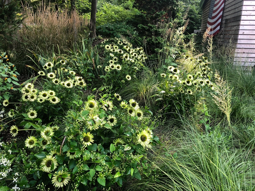 MIDWEST MODERN by McCullough's Landscape & Nursery - Photo 2