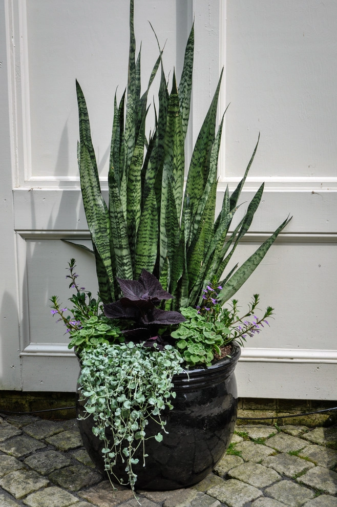 CONTAINERS by McCullough's Landscape & Nursery - Photo 40
