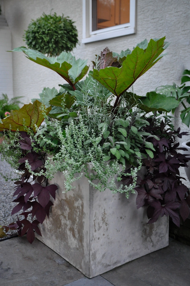 CONTAINERS by McCullough's Landscape & Nursery - Photo 94
