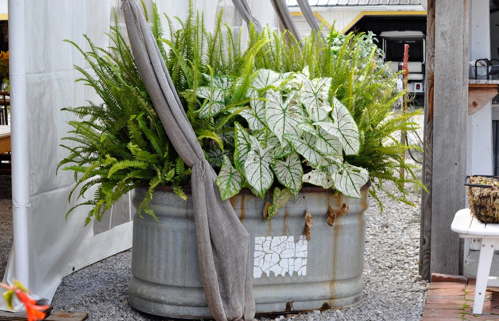 CONTAINERS by McCullough's Landscape & Nursery - Photo 12